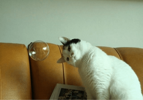 adultecer é difícil mandala psicologia analítica junguiana jung terapia online terapia presencial em campinas