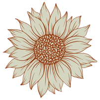 mandala psicologia analítica junguiana jung terapia online terapia presencial em campinas