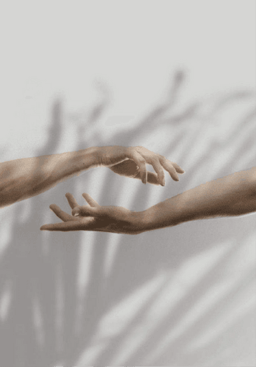 mandala psicologia analítica junguiana jung terapia online terapia presencial em campinas