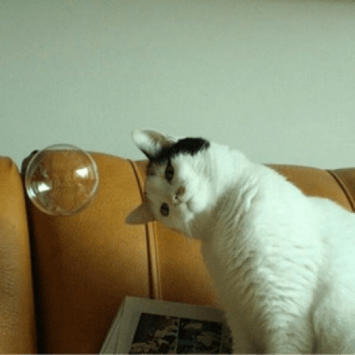 adultecer é difícil mandala psicologia analítica junguiana jung terapia online terapia presencial em campinas